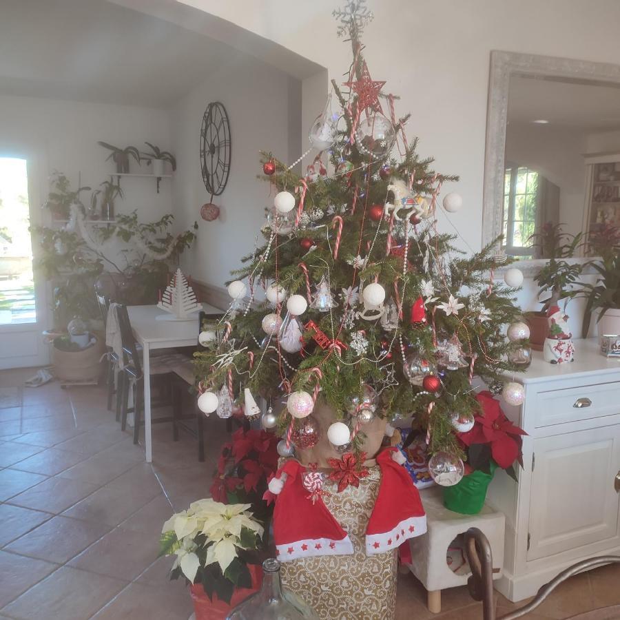 La Margottiere Chez Isa Et Titi Hotel Rians  ภายนอก รูปภาพ